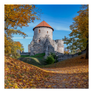 Mittelalterliche Burg umgeben von Wäldern Poster