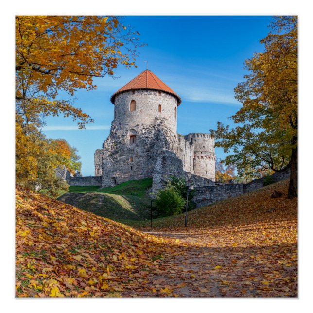 Mittelalterliche Burg umgeben von Wäldern Poster (Vorderseite)