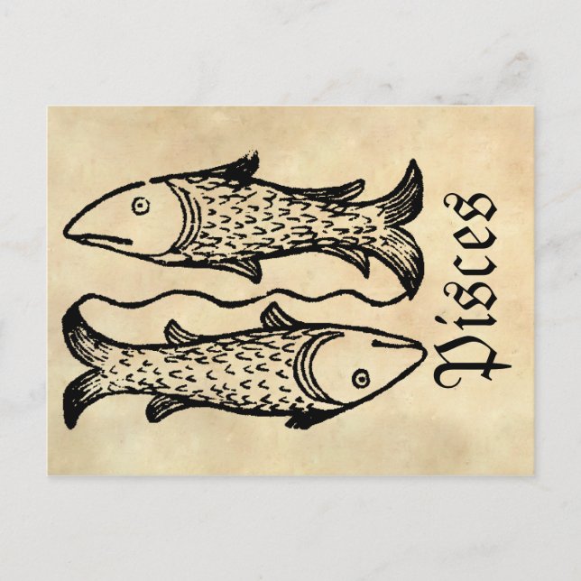 Mittelalterliche Renaissance Zodiac Symbol Pisces Postkarte (Vorderseite)