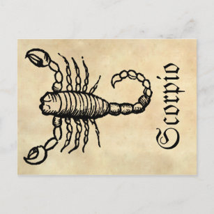 Mittelalterliche Renaissance Zodiac Symbol Scorpio Postkarte