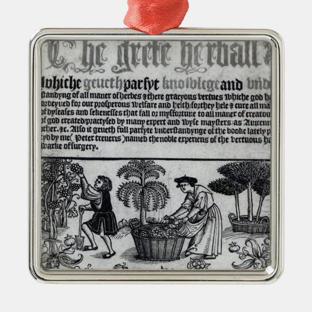 Mittelalterlicher Kräutergarten Silbernes Ornament (Vorne)