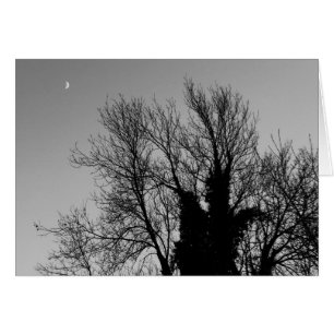 Mittelalterlicher Winternachmittag