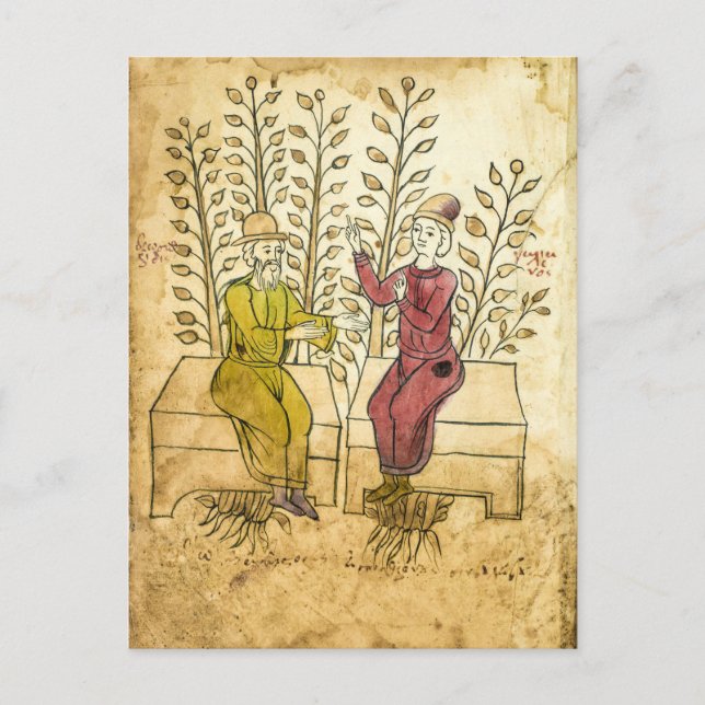 Mittelalterliches Kräutermanuskript, echtes Foto P Postkarte (Vorderseite)