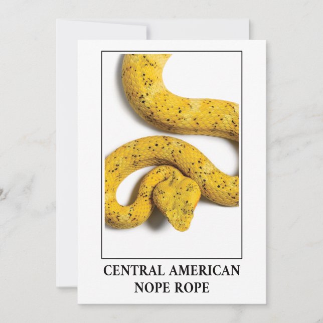 Mittelamerikanischer Papagei - Gefahr durch Viper  Einladung (Vorderseite)