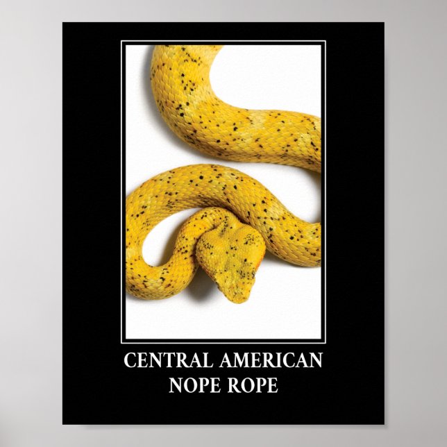 Mittelamerikanischer Papagei - Gefahr durch Viper  Poster (Vorne)