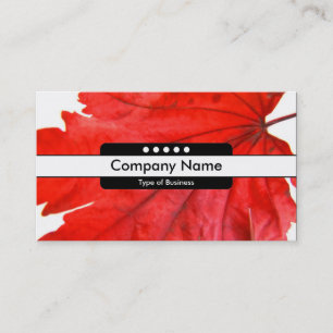 Mittelband 5 Spots Visitenkarte