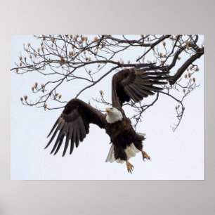 Mittelluftverkehr Poster