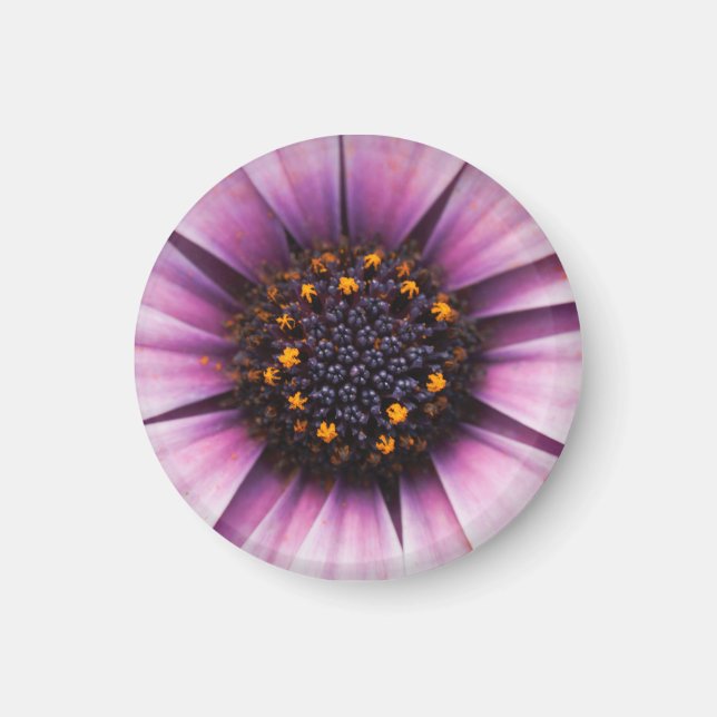 Mittelmagnet der Blume Magnet (Vorne)