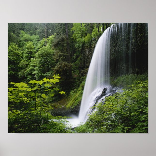 Mittelnord fällt, Silver Falls Staat Park, Poster (Vorne)