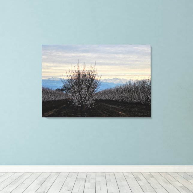 Mitteltaler Landschaft Blühende Leinwand (Insitu (Holzboden))