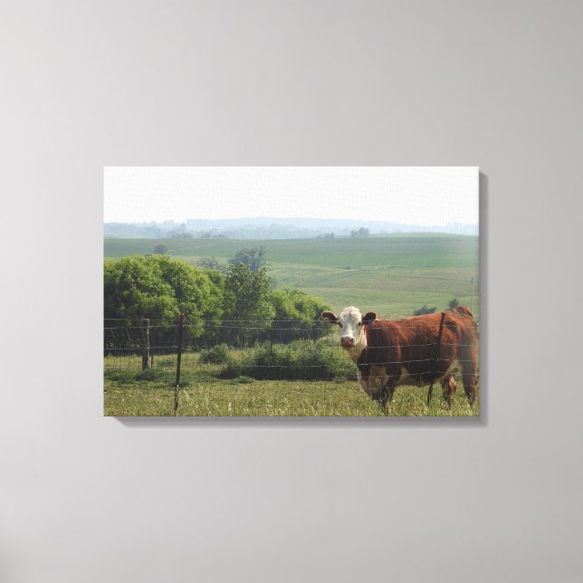 Mittelwestfotografie | Schöne Kuh und Landschaft Leinwanddruck (Vorderseite)