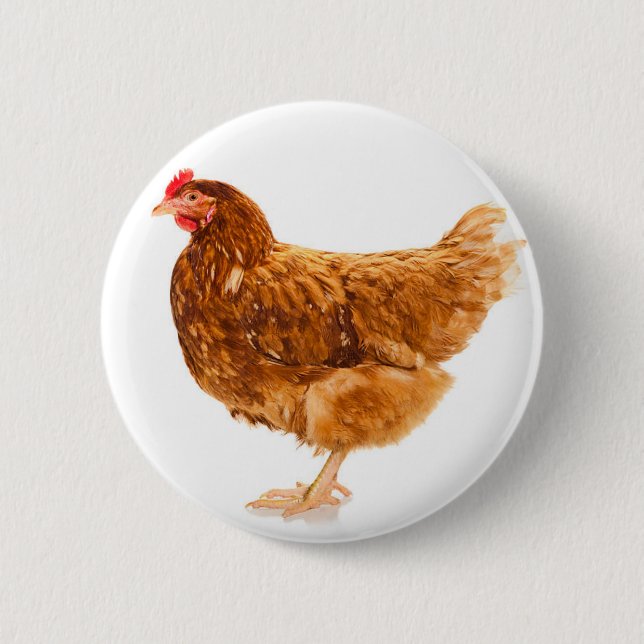 MITTENS - CHICKEN BUTTON (Vorderseite)