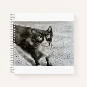 Mittens le chaton sur un journal