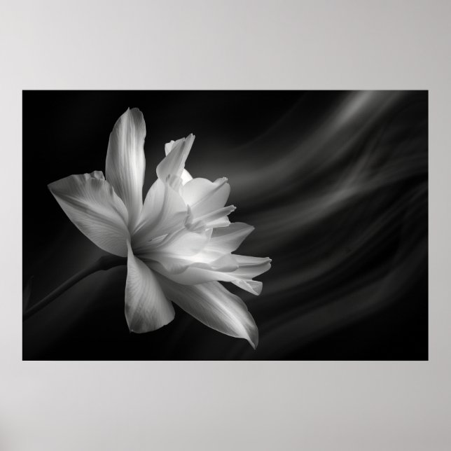 Mitternacht Blossom Print, Value Poster Paper (Mat (Vorne)