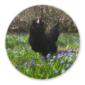 Mitternacht-Blume-Knöpfe ziehen Hühnerfleisch Schw Keramikknauf