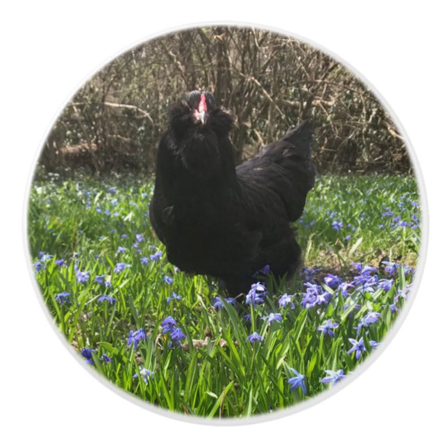 Mitternacht-Blume-Knöpfe ziehen Hühnerfleisch Schw Keramikknauf (Vorderseite)