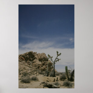 Mitternacht im Mojave Poster