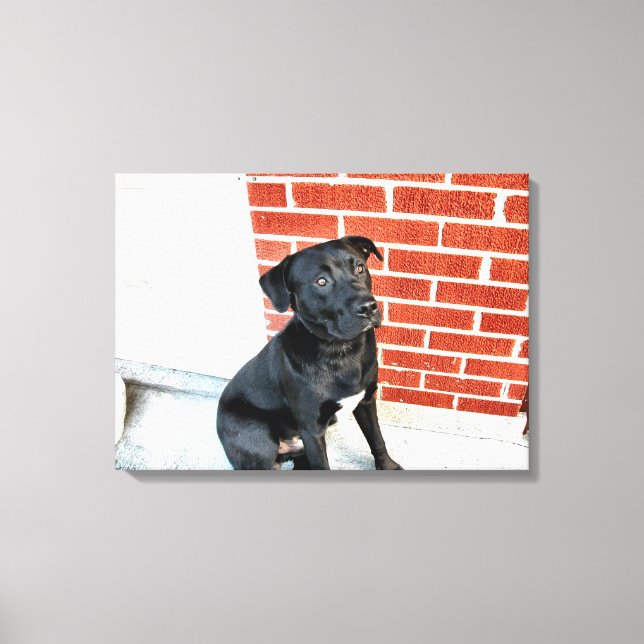 Mitternacht in penibler Stimmung Leinwanddruck (Vorderseite)