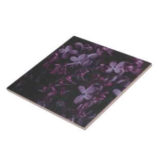 Mitternacht-Lilac-Reverie-Keramikfliese Fliese