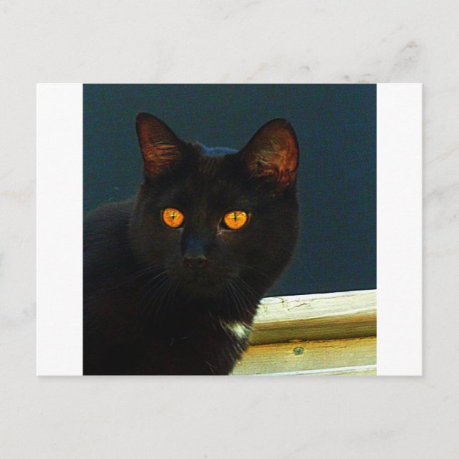 Mitternacht Postkarte (Vorderseite)