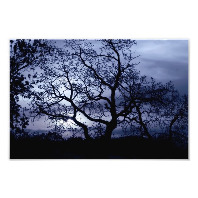 Mitternacht Sunset Fotodruck (Vorne)