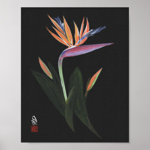 Mitternachts-Paradiesvogel-Kunst Poster