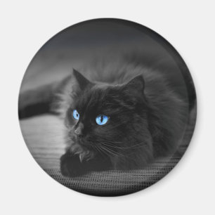 Mitternachtsblaue Augen Katzenmagnet - 2,25 Rund K Magnet