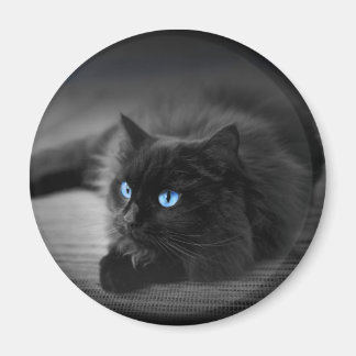 Mitternachtsblaue Augen Katzenmagnet - 2,25 Rund K Magnet