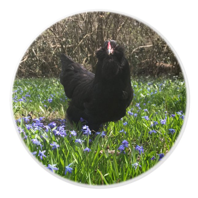 Mitternachtsblumen Schwanz  Knöchelhähnchen Keramikknauf (Vorderseite)