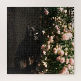 Mitternachtsblüten Katzen