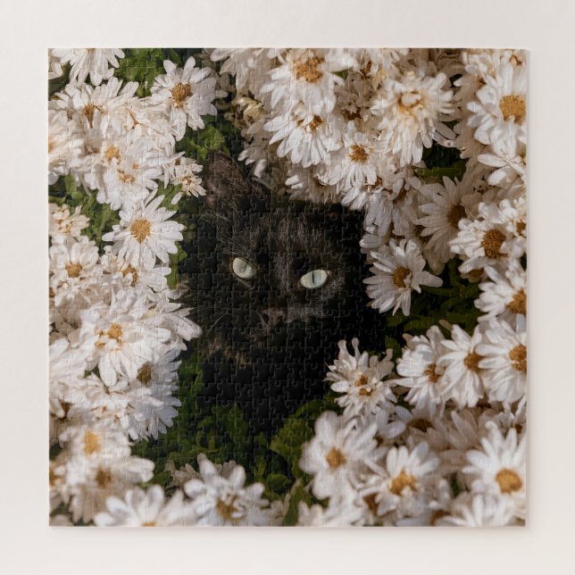 Mitternachtsblüten Katzen (Vertikal)
