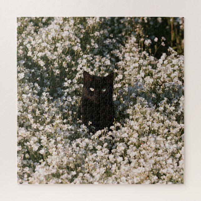 Mitternachtsblüten Katzen (Vertikal)