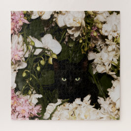 Mitternachtsblüten Katzen