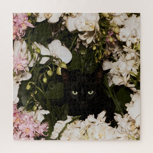 Mitternachtsblüten Katzen (Vertikal)