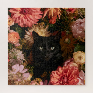 Mitternachtsblüten Katzen