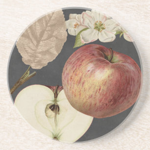 Mitternachtsernte II Getränkeuntersetzer