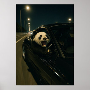 Mitternachtsfahrt – Lustiger Panda in einer Sportw Poster