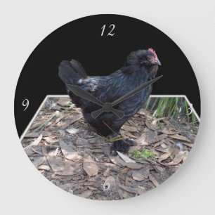 "Mitternachtsfedern: Ein schwarzes Huhn in Popout  Große Wanduhr