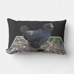 "Mitternachtsfedern: Ein schwarzes Huhn in Popout Lendenkissen