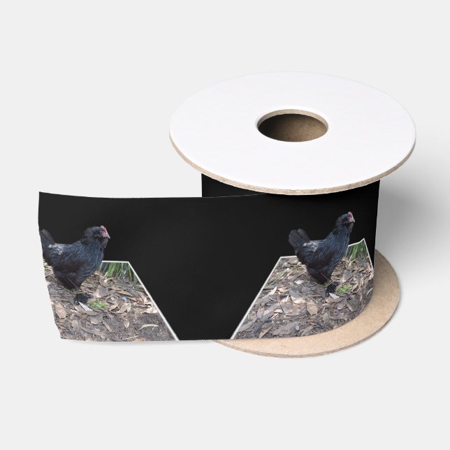 "Mitternachtsfedern: Ein schwarzes Huhn in Popout  Satinband (Spule)