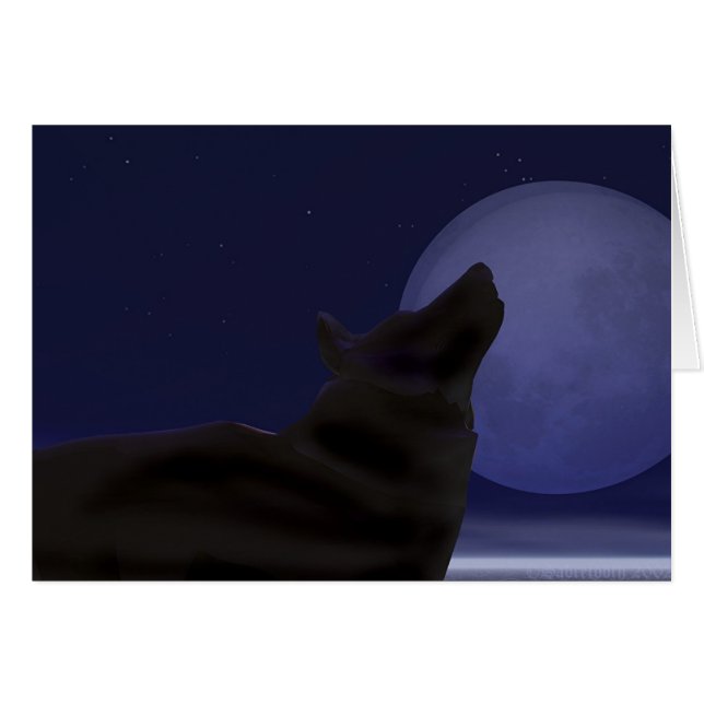 Mitternachtsheulen (Vorderseite (Horizontal))