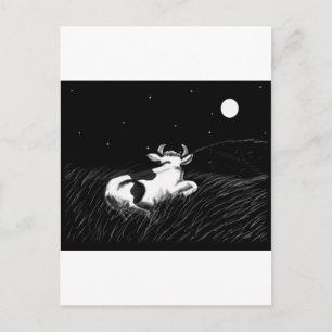 Mitternachtskühe Postkarte