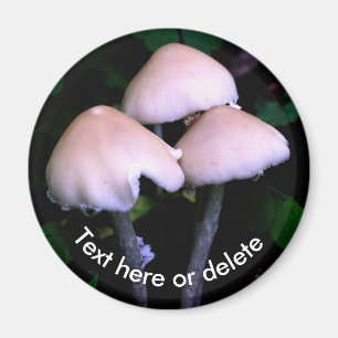 Mitternachtspilze Natur Personalisiert Magnet