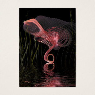 Mitternachtstanz des rosa Flamingos - Künstler
