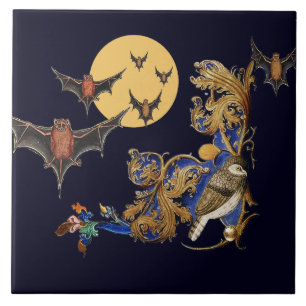 MITTLERE BEWÄHRUNG, GEBURT, BATTEN IN NACHT BLAU FLIESE