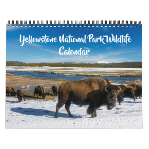 Mittlerer Größe Yellowstone-Kalender-Wildtierkalen Kalender