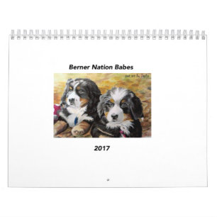 Mittlerer Kalender der Berner Nations-Babys 2017