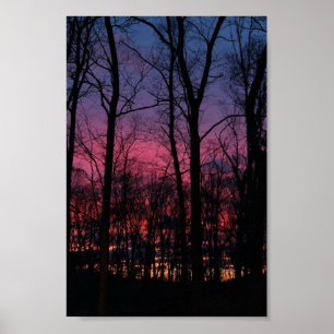 Mittlerer Sonnenuntergang durch die Bäume Poster