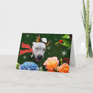 Mitzy la Mariposa, Carte de voeux de vacances