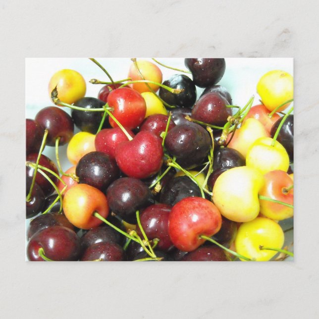 Mixed Cherries Postkarte (Vorderseite)